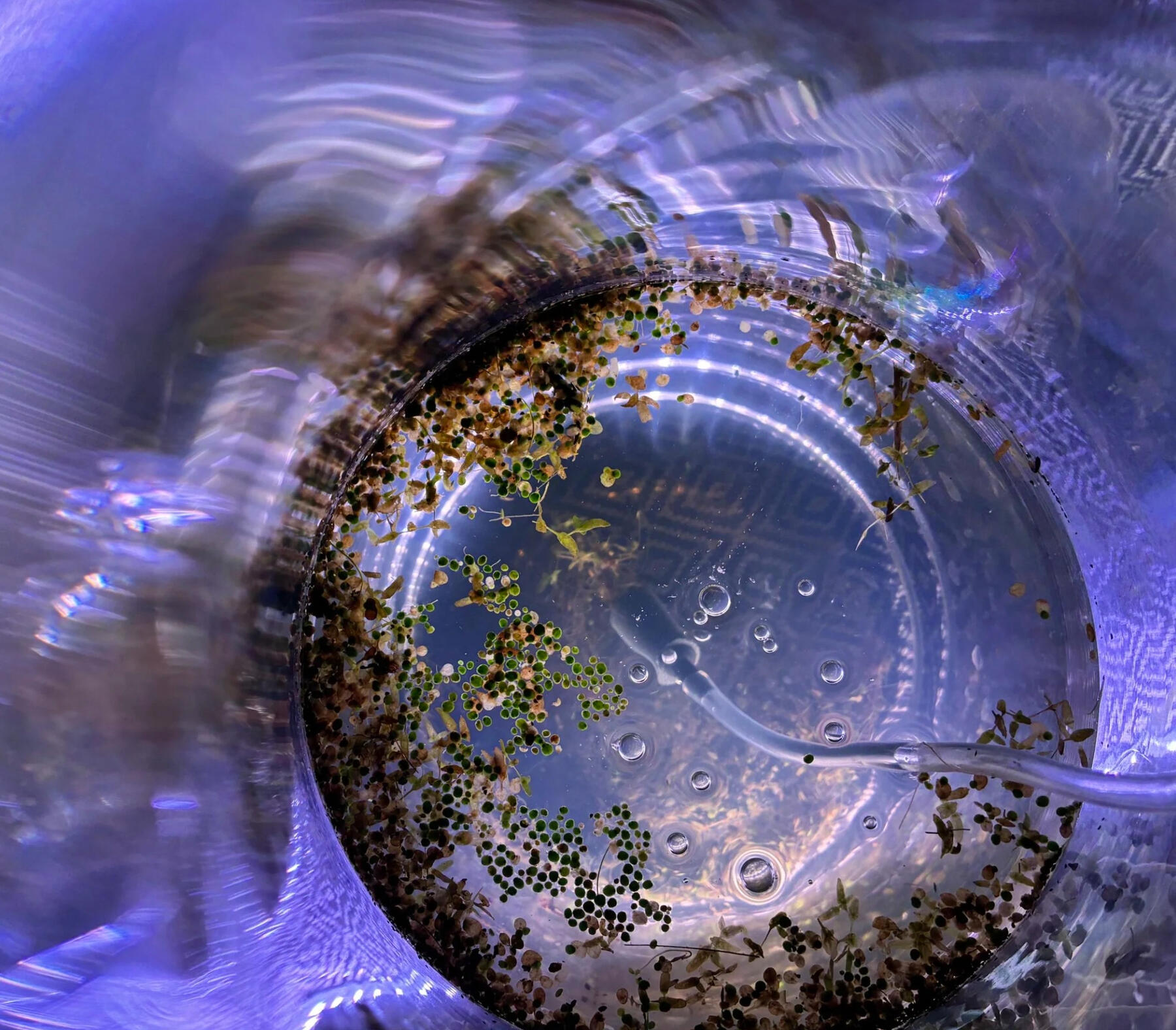 Riversdale BID Saskatoon,